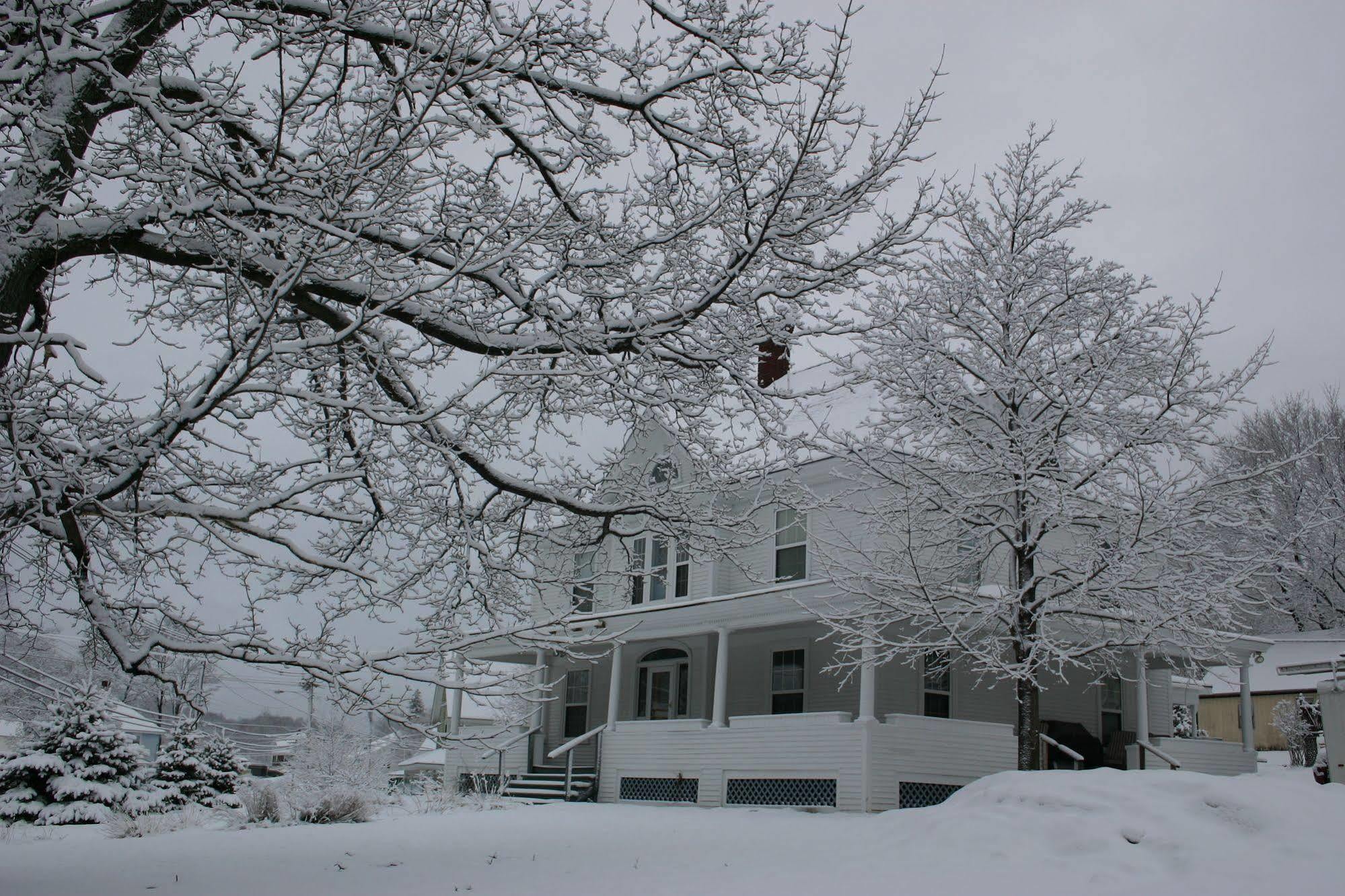 The Young House Bed And BreakfastMillinocket エクステリア 写真